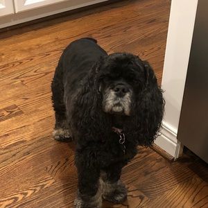 Meet your Posher, Leslie